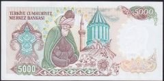 7.Emisyon 2.Tertip 5000 Lira C35 230130 Çilaltı Çil