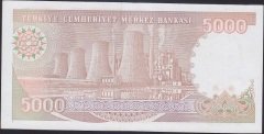 7.EMİSYON 4.TERTİP 5000 LİRA I01 574274 ÇİLALTI