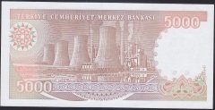 7.EMİSYON 4.TERTİP 5000 LİRA H56 079698 ÇİL