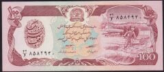 Afganistan 100 Afgani 1358 ( 1979 ) Çilaltı Çil Pick 58a