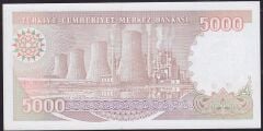 7.Emisyon 4.Tertip 5000 Lira I40 116593 Çilaltı Çil