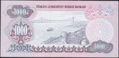 6.Emisyon 2.Tertip 1000 Lira E02 233303 Çilaltı Çil