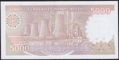 7.Emisyon 4.Tertip 5000 Lira I01 574211 Çil