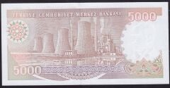 7.Emisyon 4.Tertip 5000 Lira H80 621097 Çilaltı Çil