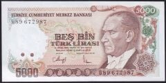 7.Emisyon 4.Tertip 5000 Lira G89 672987 Çilaltı Çil