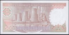 7.Emisyon 4.Tertip 5000 Lira G89 672987 Çilaltı Çil