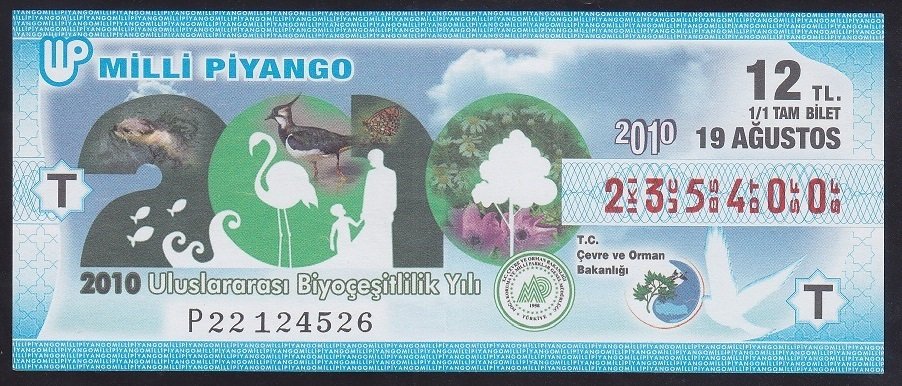 2010 19 AĞUSTOS TAM BİLET