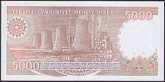 7.Emisyon 4.Tertip 5000 Lira G28 075882 Çil