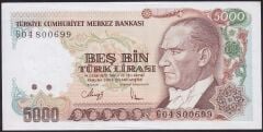 7.Emisyon 4.Tertip 5000 Lira G04 800699 Çilaltı Çil