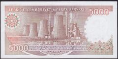 7.Emisyon 4.Tertip 5000 Lira G04 8006XX Çilaltı Çil