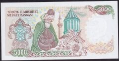 7.Emisyon 3.Tertip 5000 Lira E74 289643 Çil