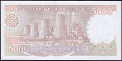 7.Emisyon 4.Tertip 5000 Lira I43 155535 Çil