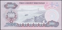 6.Emisyon 2.Tertip 1000 Lira E10 571592 Çilaltı Çil