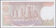 7.Emisyon 4.Tertip 5000 Lira I40 116609 Çilaltı Çil