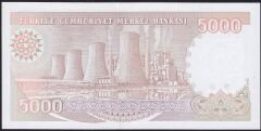 7.Emisyon 4.Tertip 5000 Lira I29 463587 Çil