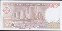 7.Emisyon 4.Tertip 5000 Lira I16 334149 Çilaltı