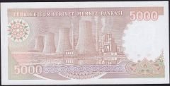 7.Emisyon 4.Tertip 5000 Lira I01 574303 Çil