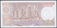 7.Emisyon 4.Tertip 5000 Lira H89 621217 Çilaltı Çil