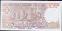 7.Emisyon 4.Tertip 5000 Lira H80 621004 Çilaltı ( tedavül katı yoktur )
