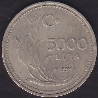 1993 Yılı 5000 Lira