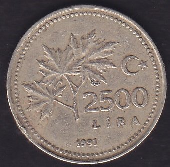 1991 Yılı 2500 Lira