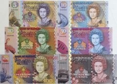 Pitcairn Island 6 Adet Kraliçe Pound Fantazi Para Seti Çil Hepsi Aynı Numara