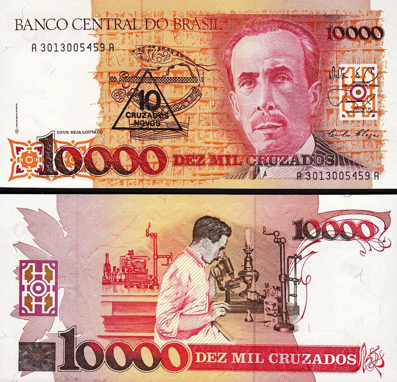 Brezilya 10 Cruzados Novo ( 10000 Cruzados) 1989 Çil Pick 218a