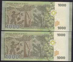 SURİYE 1000 POUND 2013 ÇİL SERİ TAKİPLİ 2 ADET 299 - 300