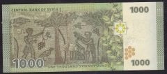 Suriye 1000 Pound 2013 Çil Pick 116