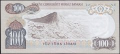 6.Emisyon 2.Tertip 100 Lira F89 540425 Çok Çok Temiz+