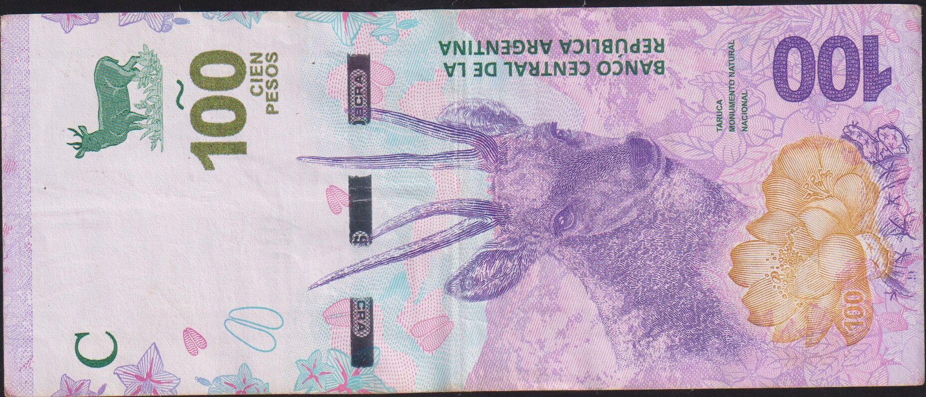 Arjantin 100 Pesos 2018 Çok Temiz+ Pick 363A