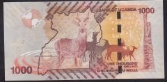 UGANDA 1000 ŞİLİNG 2013 ÇİL