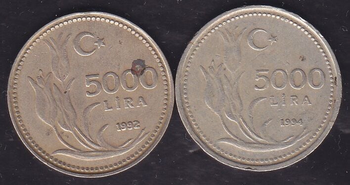 1992-94 Yılı 5000 Lira