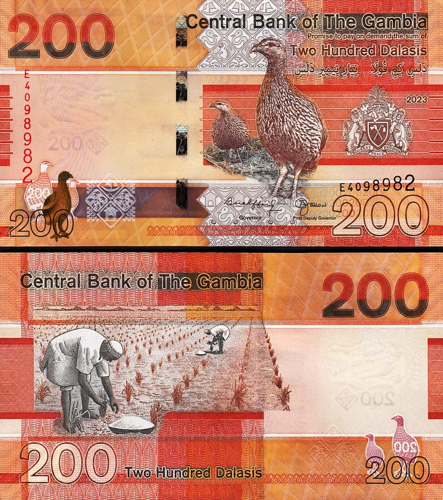 Gambia 200 Dalasis 2023 Çil Pick 42c