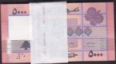 Lübnan 5000 Livre 2021 Çil Deste (100 Adet)