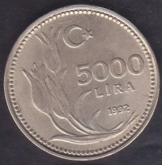 1992 Yılı 5000 Lira Çilaltı
