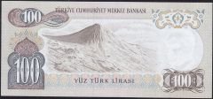 6.Emisyon 2.Tertip 100 Lira I36 960524 Çilaltı Çil