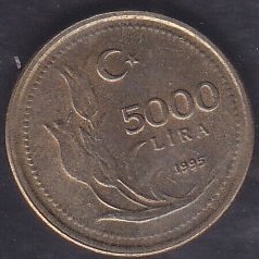 1995 Yılı 5000 Lira Çilaltı Çil