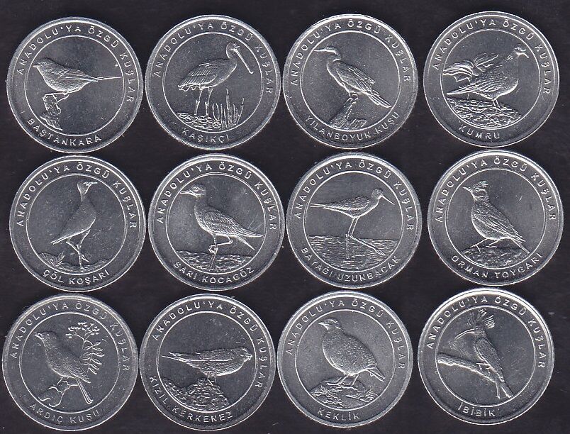 Anadoluya Özgü Kuşlar Seti Çil