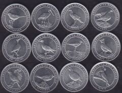 Anadoluya Özgü Kuşlar Seti Çil