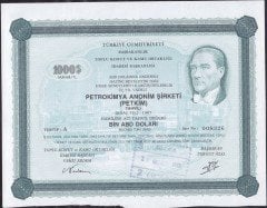 Petkim Hisse Senedi 1000 Dolar