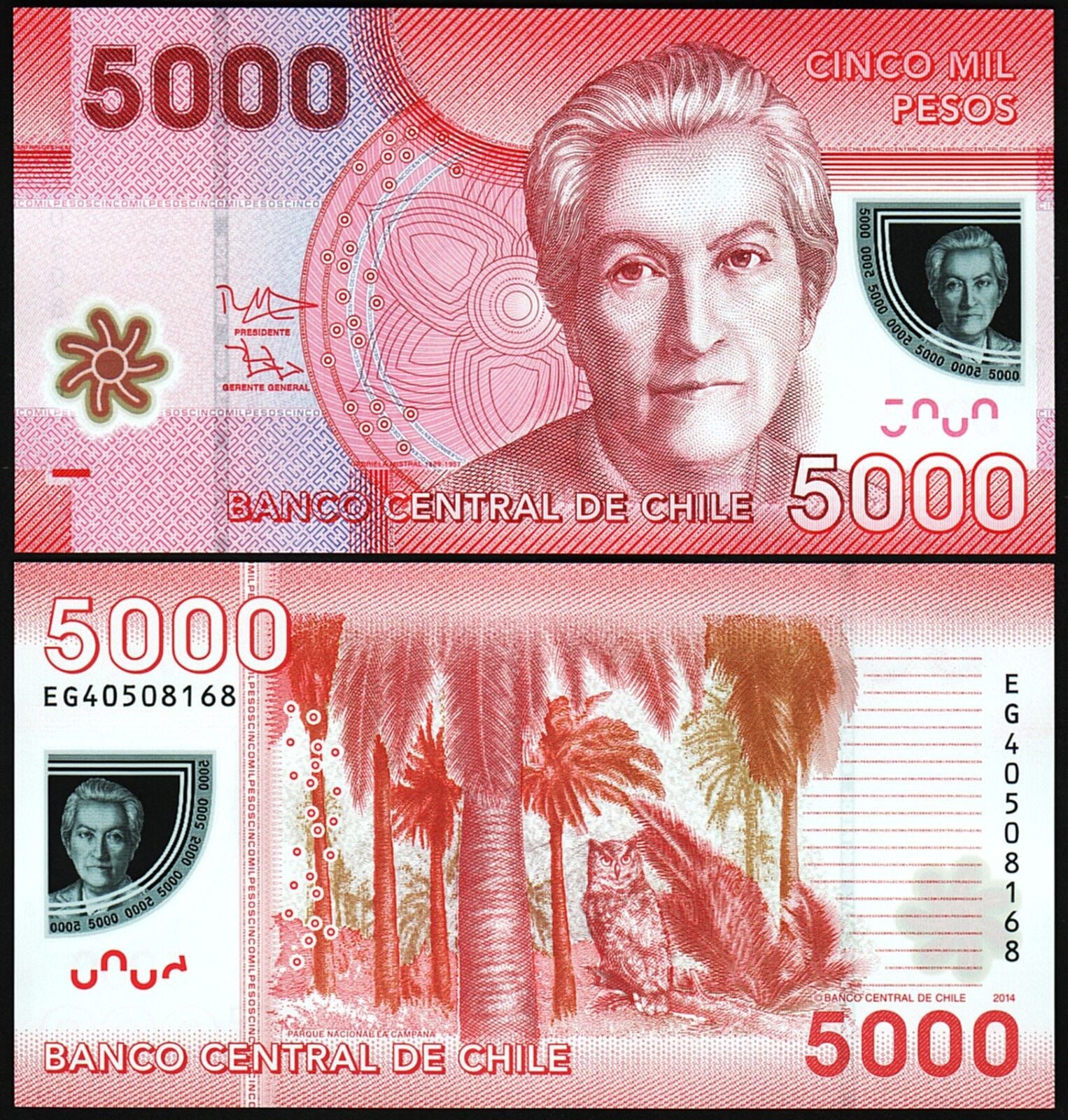 Şili 5000 Pesos 2014 Çil Pick 163e Polimer