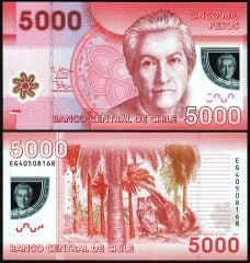 Şili 5000 Pesos 2014 Çil Pick 163e Polimer
